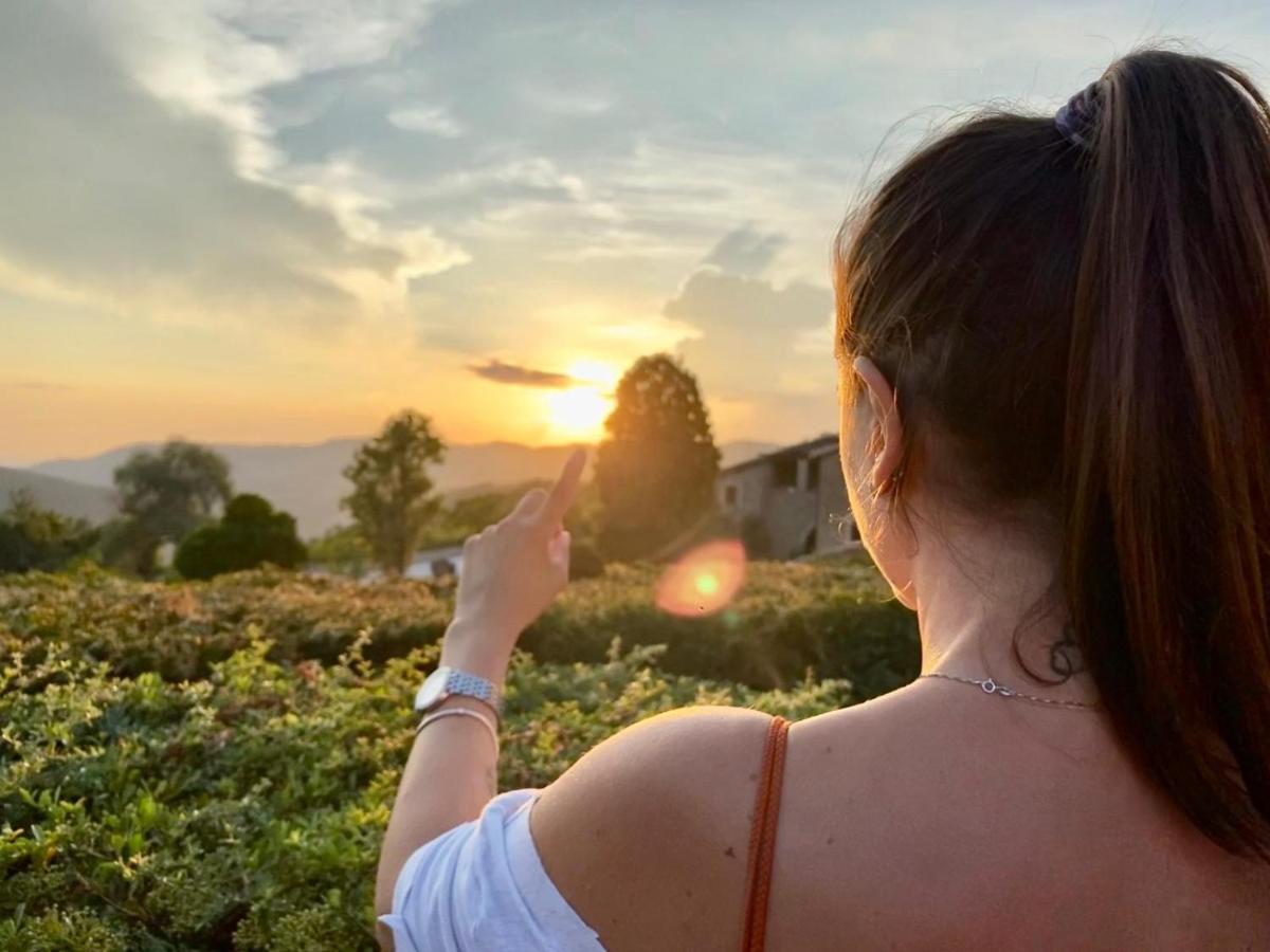 Agriturismo Le Case Assisi Dış mekan fotoğraf