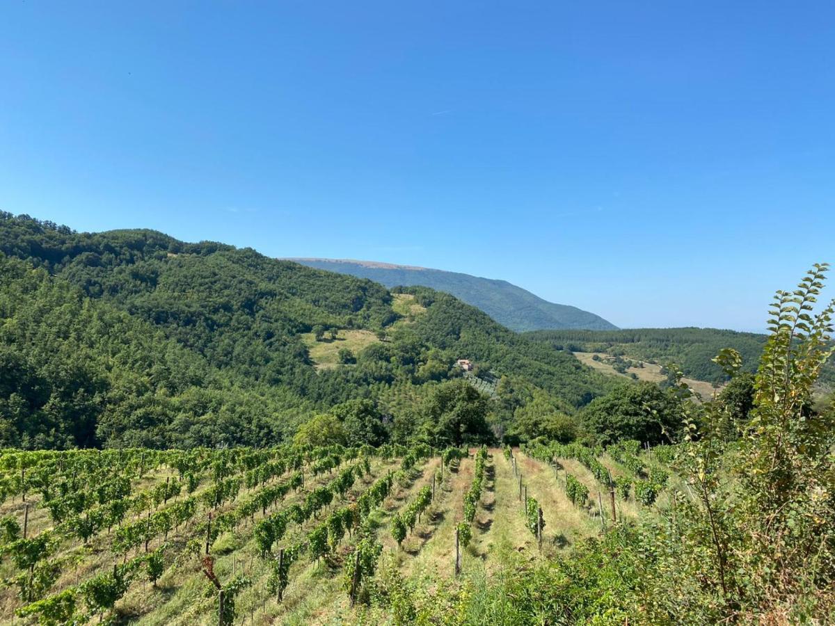 Agriturismo Le Case Assisi Dış mekan fotoğraf