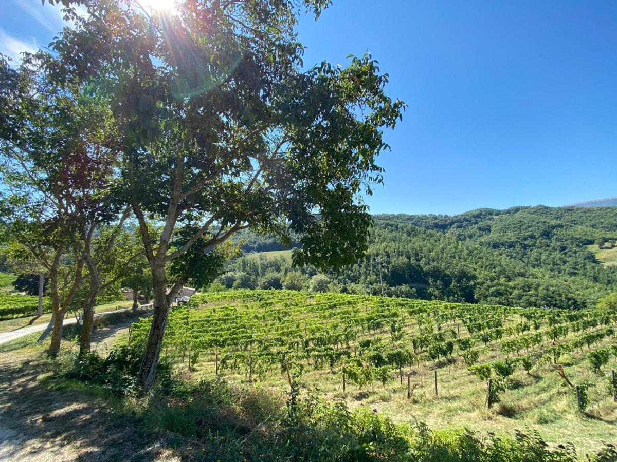 Agriturismo Le Case Assisi Dış mekan fotoğraf