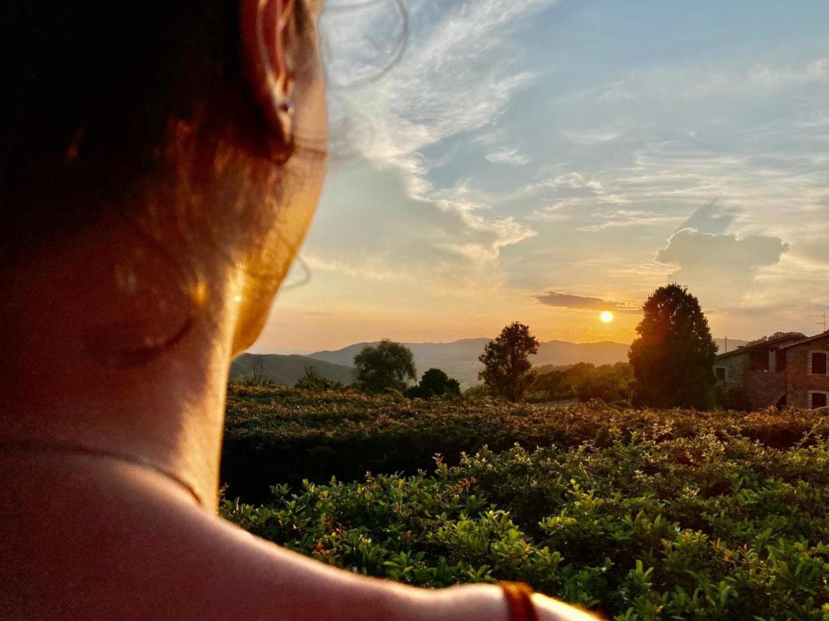 Agriturismo Le Case Assisi Dış mekan fotoğraf