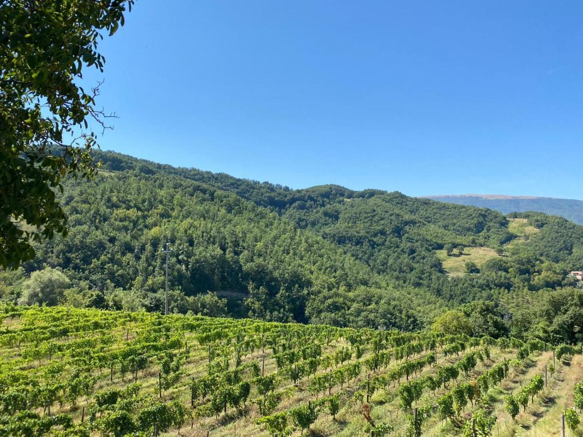Agriturismo Le Case Assisi Dış mekan fotoğraf