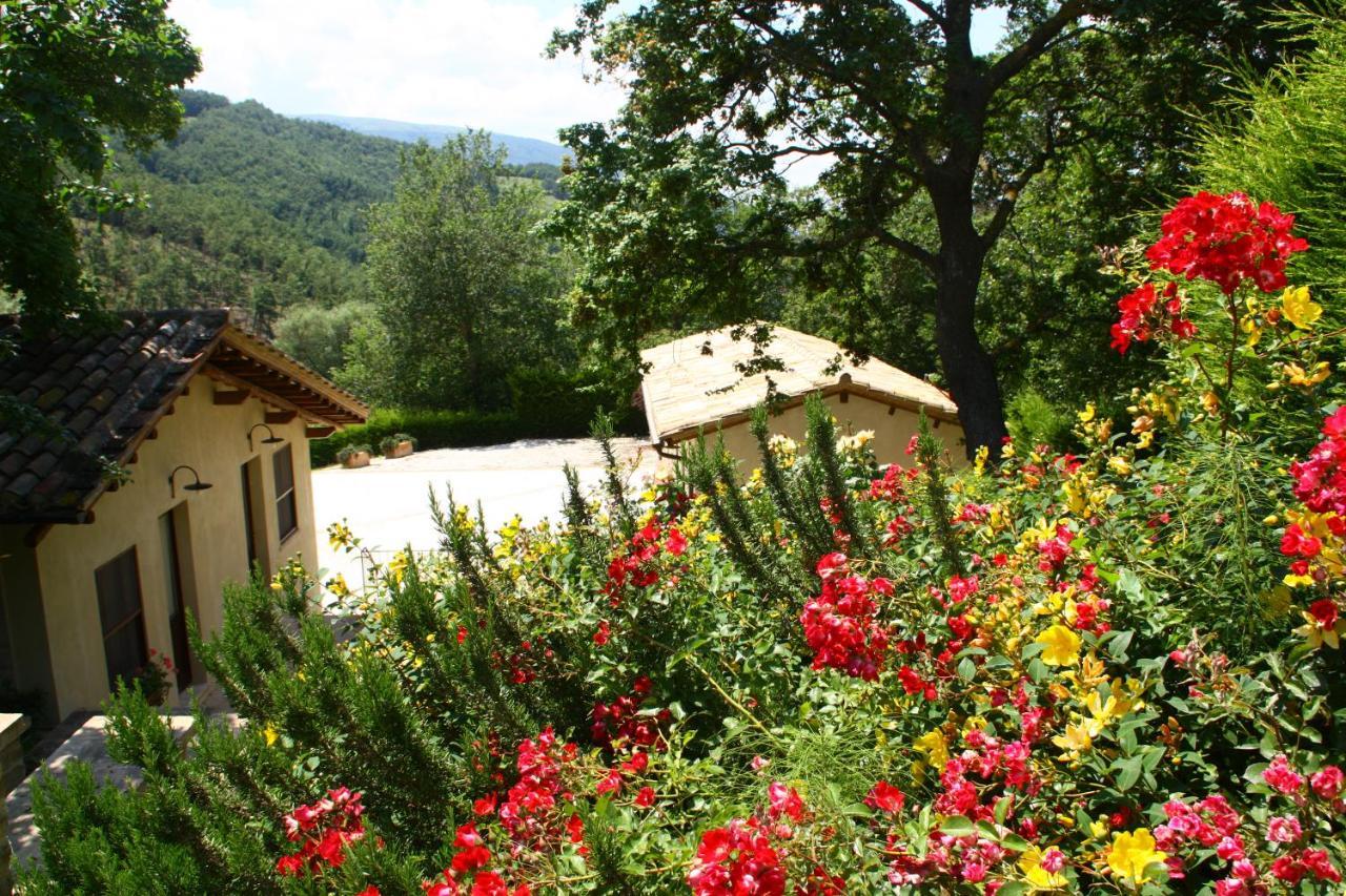 Agriturismo Le Case Assisi Dış mekan fotoğraf