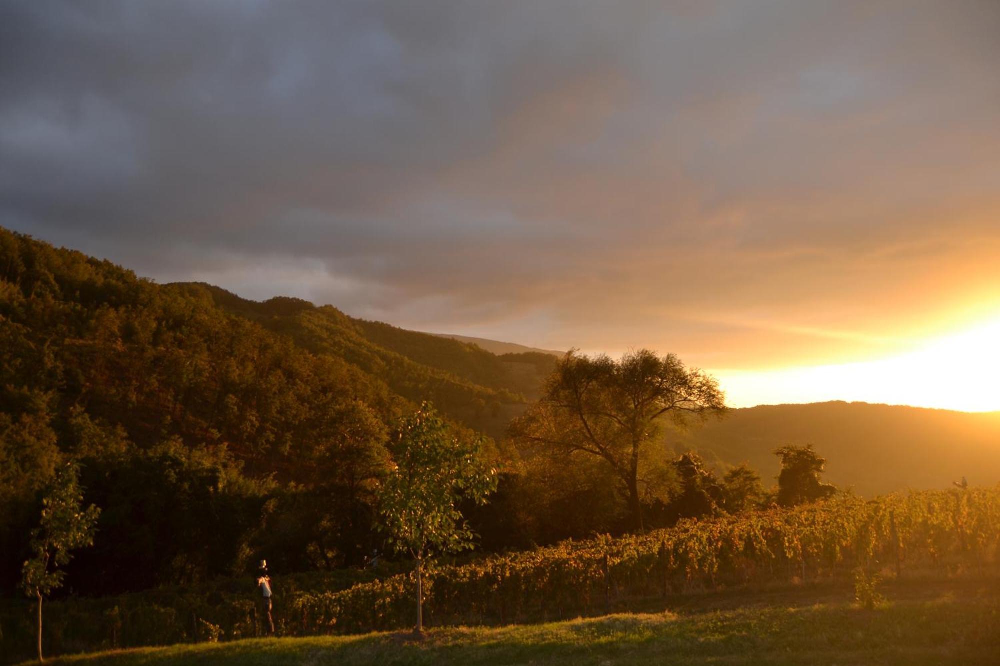 Agriturismo Le Case Assisi Dış mekan fotoğraf