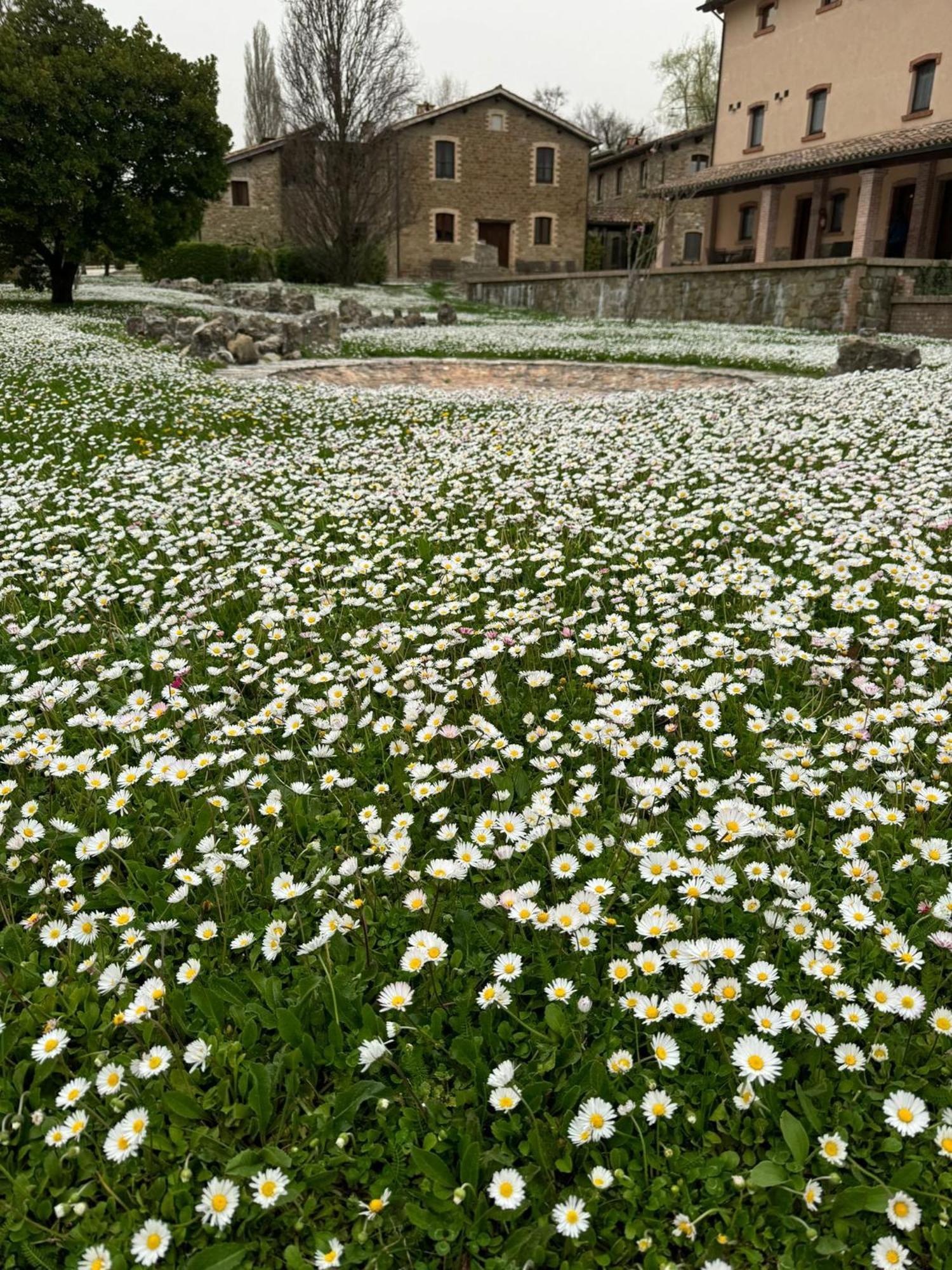 Agriturismo Le Case Assisi Dış mekan fotoğraf