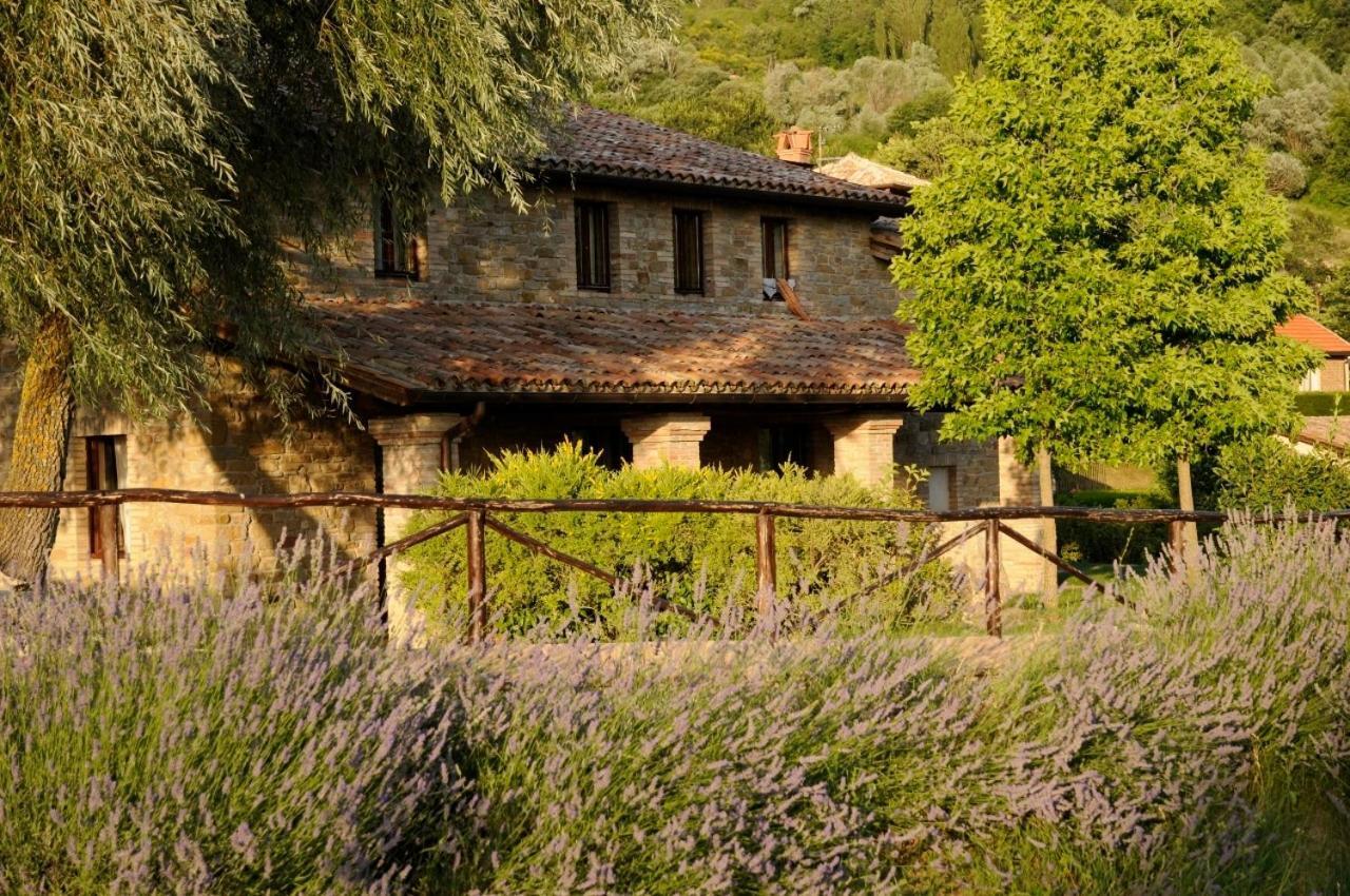 Agriturismo Le Case Assisi Dış mekan fotoğraf